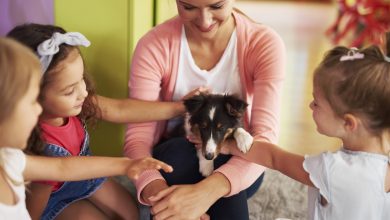 Fusionner Familles à Poils : Conseils pour Intégrer un Animal avec Enfants en Toute Sérénité