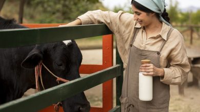 Plongée dans l'Allergie Lactée : Symptômes et Alternatives Gourmandes