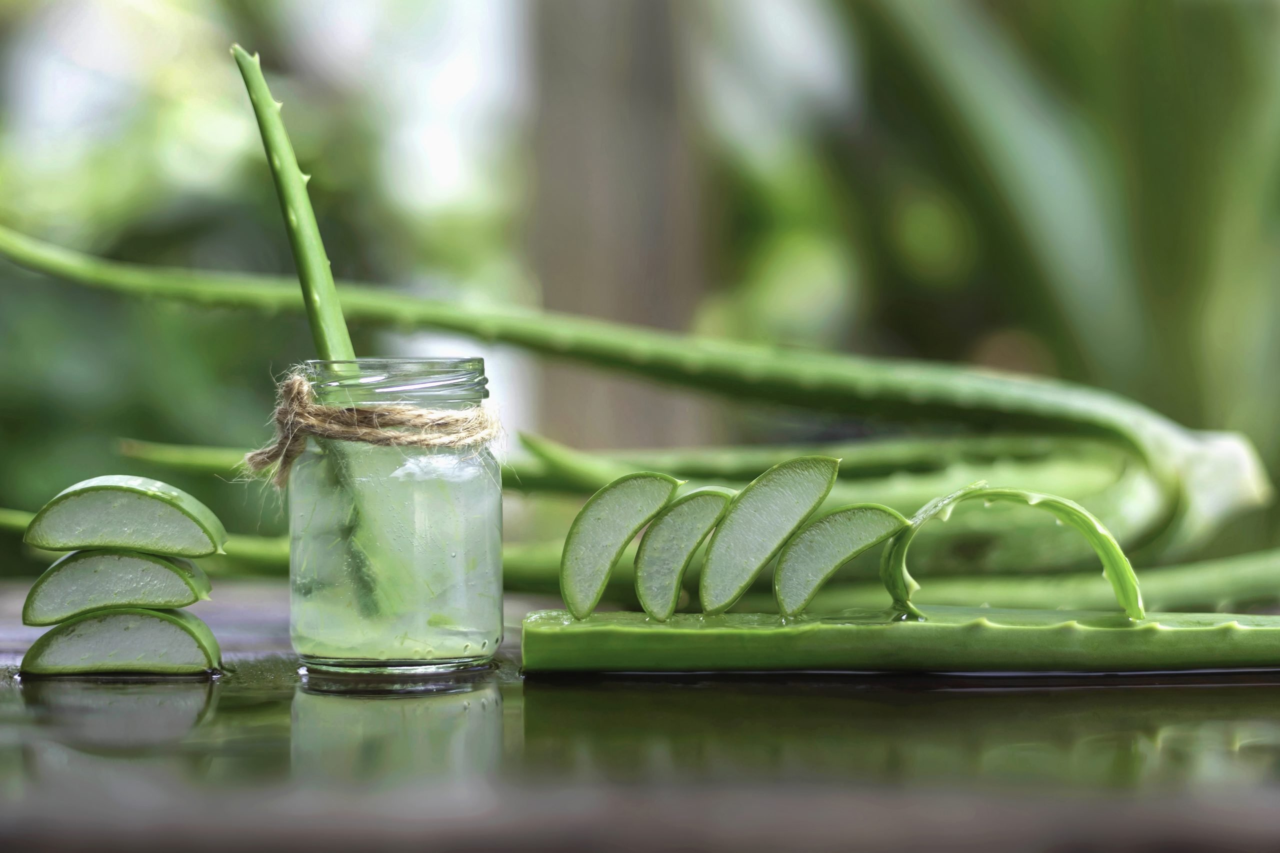 L'Aloe : Un Voyage Séculaire Vers la Guérison Naturelle - Origines, Mythes et Pouvoirs Homéopathiques