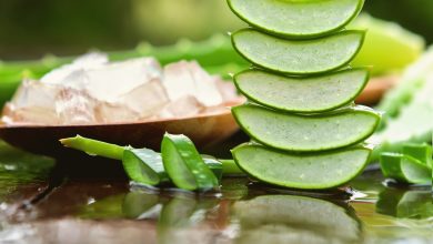 Exploration complète des bienfaits, utilisations et recettes de l'aloe vera pour une vie épanouie.