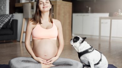 Les secrets surprenants de l'empathie animale envers les femmes enceintes révélés !  