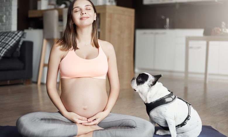 Les secrets surprenants de l'empathie animale envers les femmes enceintes révélés !  