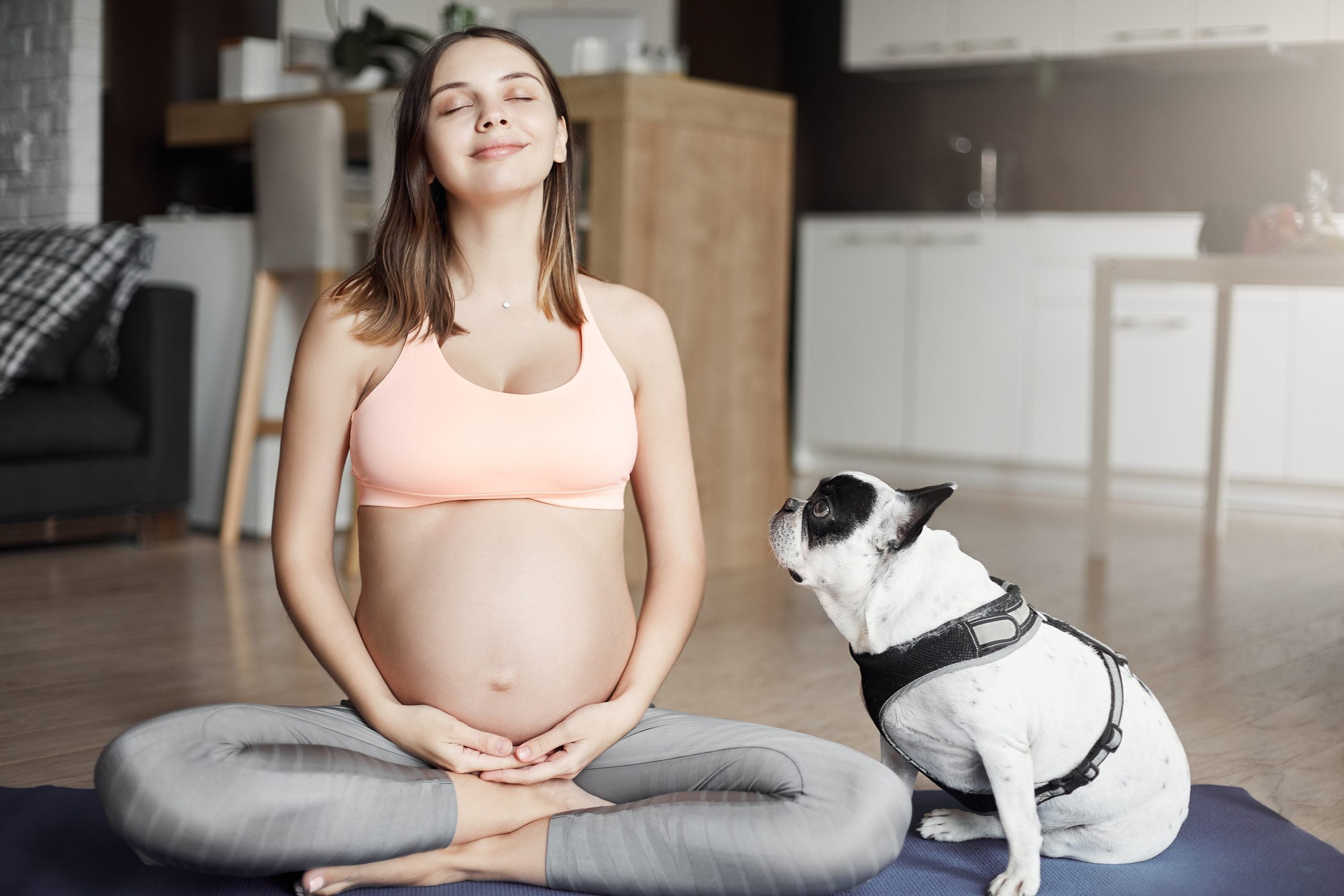 Les secrets surprenants de l'empathie animale envers les femmes enceintes révélés !  