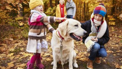 Conseils pour accueillir un nouvel animal dans une famille avec enfants : joie et responsabilités partagées!