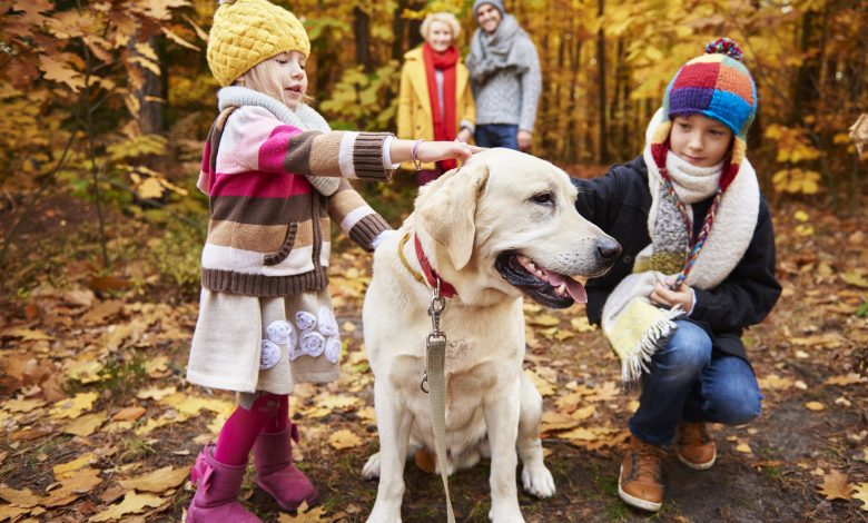 Conseils pour accueillir un nouvel animal dans une famille avec enfants : joie et responsabilités partagées!