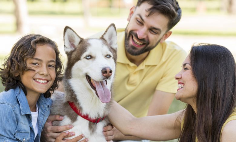 Des Compagnons Pelucheux qui Transforment nos Maisons en Havres de Bonheur et de Sérénité