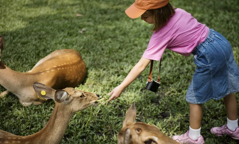 Découvrez comment cultiver une harmonie durable entre enfants curieux et adorables compagnons à poils.