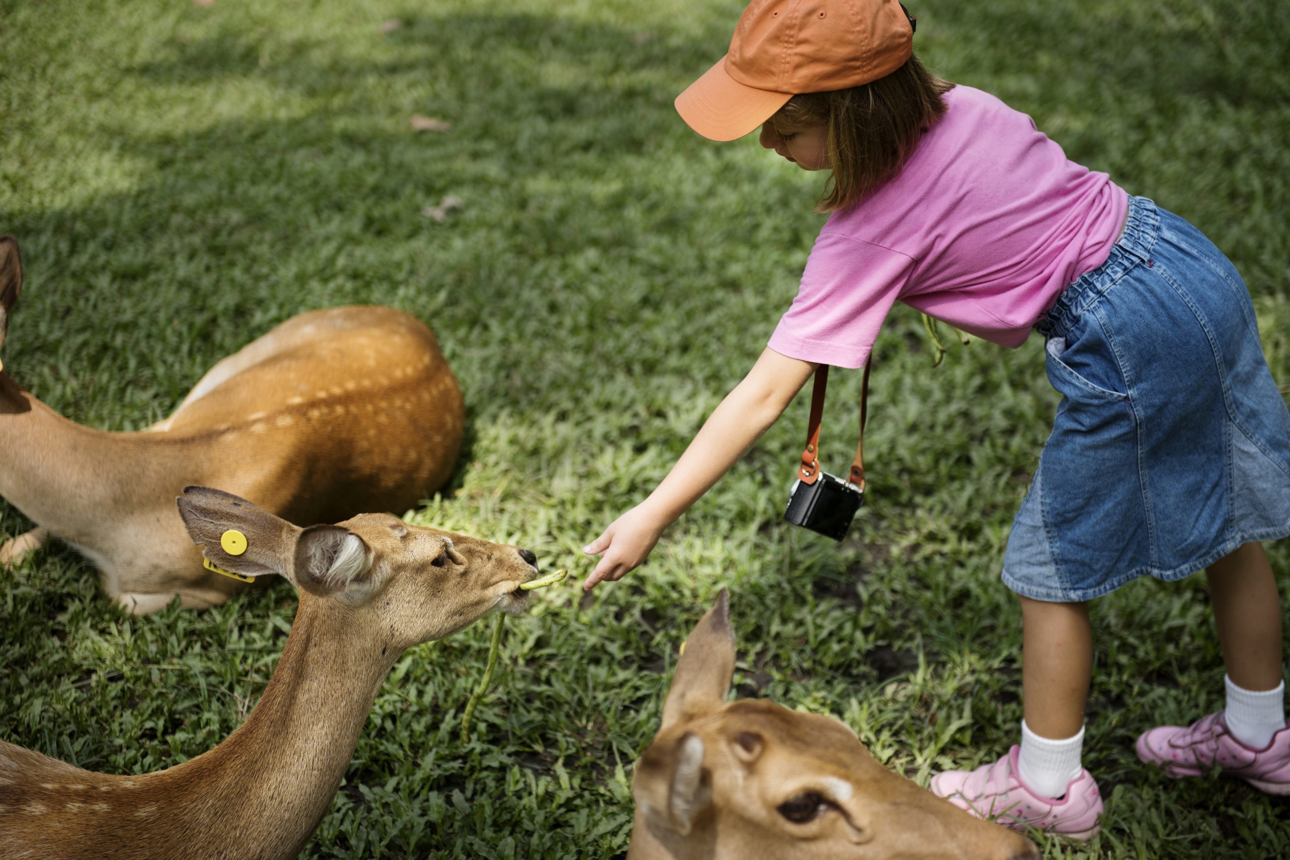 Découvrez comment cultiver une harmonie durable entre enfants curieux et adorables compagnons à poils.