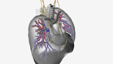 Mésothéliome Pleural : Symptômes, Diagnostic, Traitements et Prévention Explorés en Profondeur