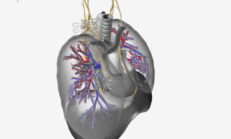 Mésothéliome Pleural : Symptômes, Diagnostic, Traitements et Prévention Explorés en Profondeur