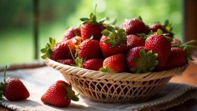 Découvrez comment une simple photo de fraises a enflammé Internet et réinventé la gourmandise.