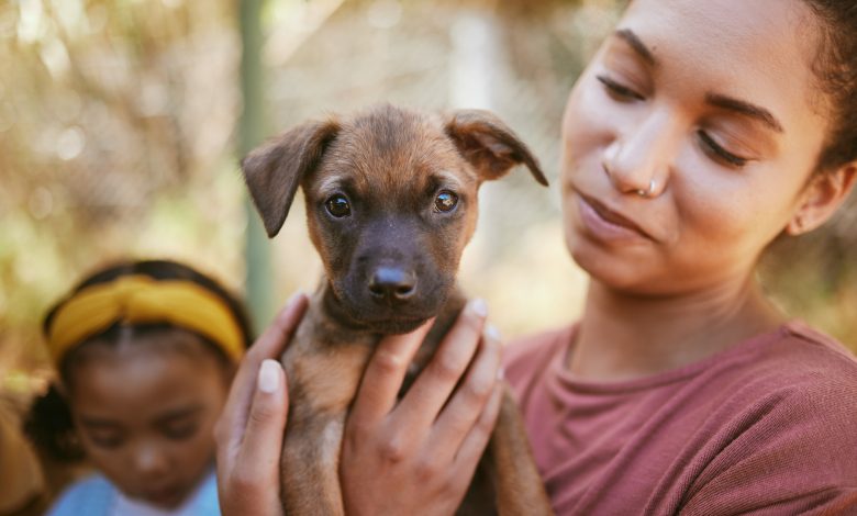 Le réconfort chaleureux des compagnons à quatre pattes dans les moments de deuil.