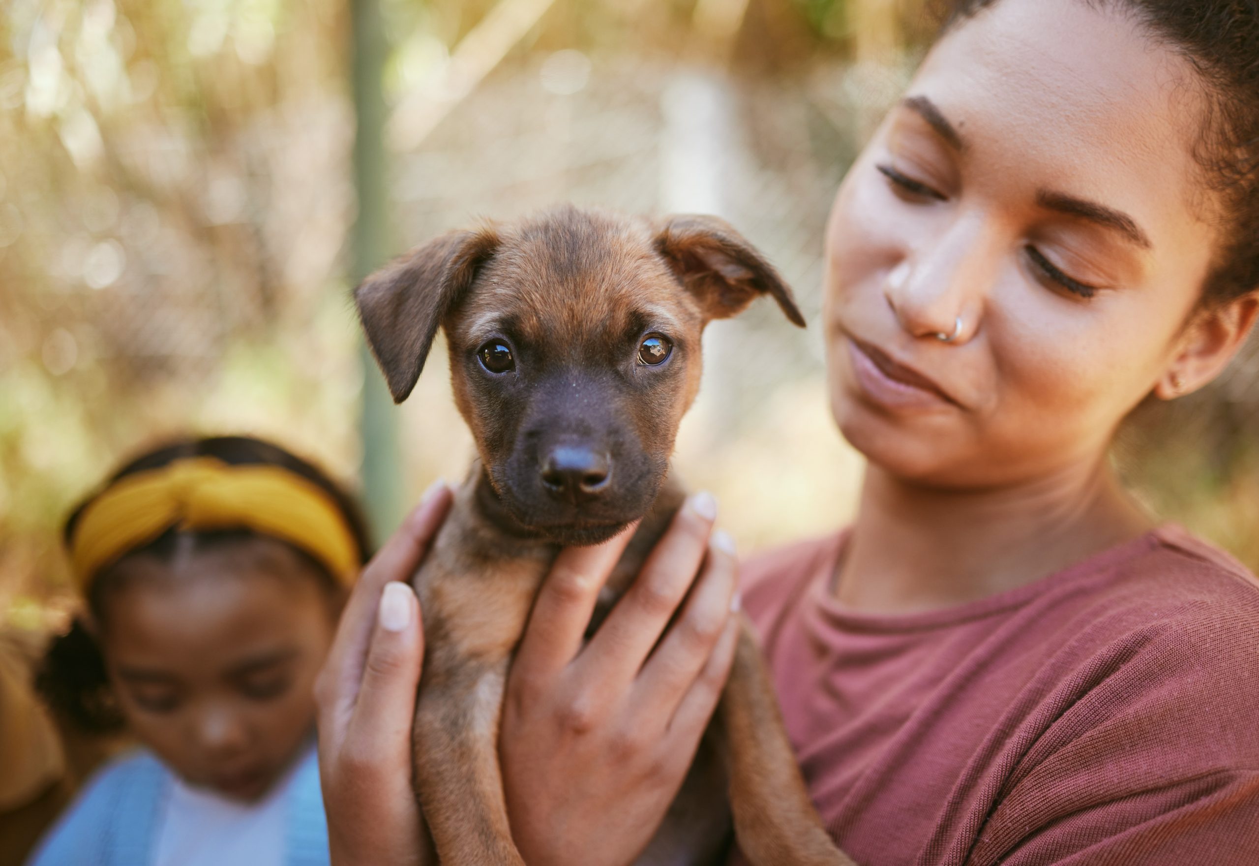 Le réconfort chaleureux des compagnons à quatre pattes dans les moments de deuil.