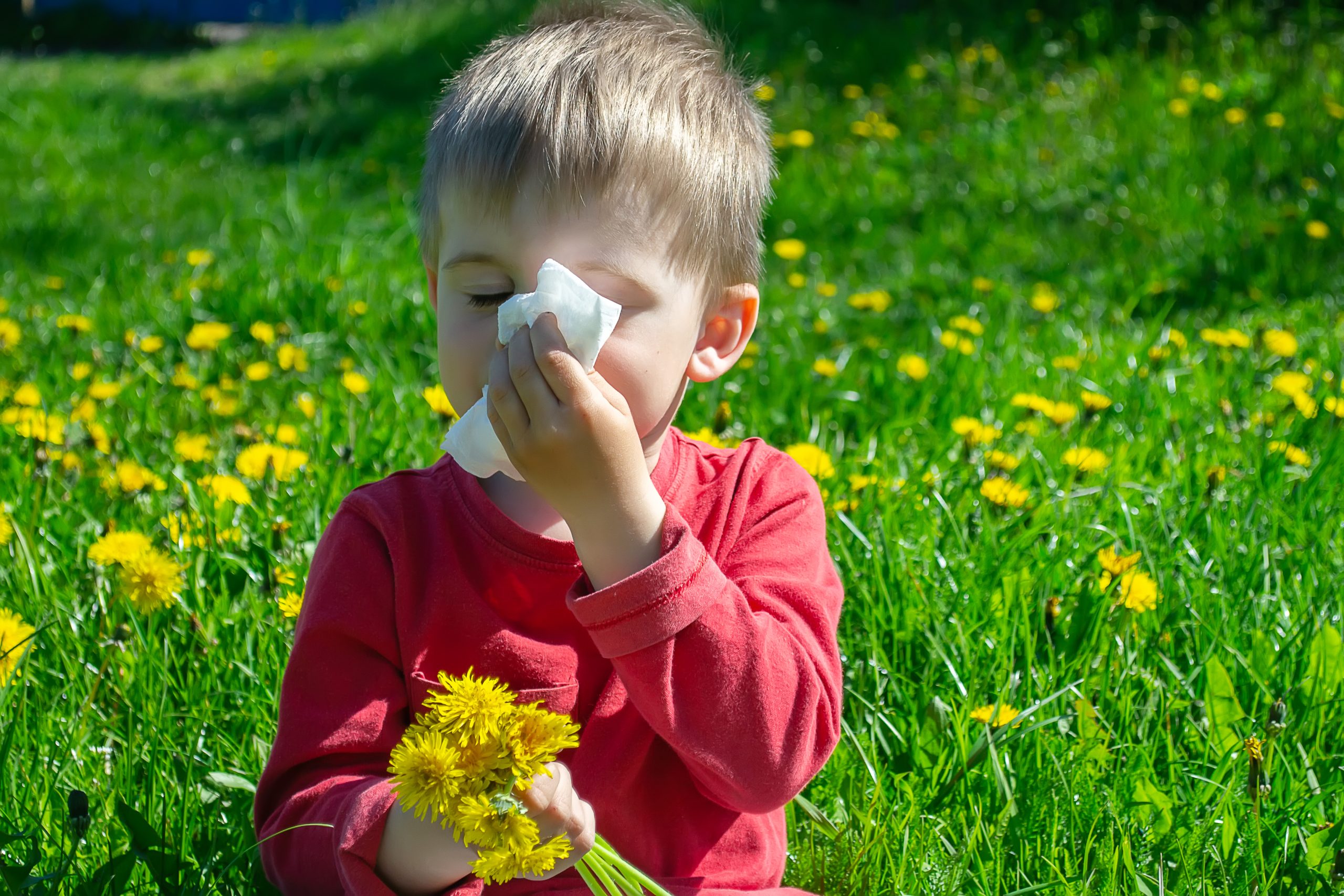 Allergie à la caséine : émotion, éducation et adaptation au quotidien.