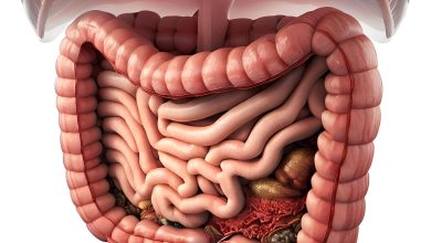 Découvrez les Symptômes, Traitements et Perspectives d'Avenir de la Maladie de Crohn