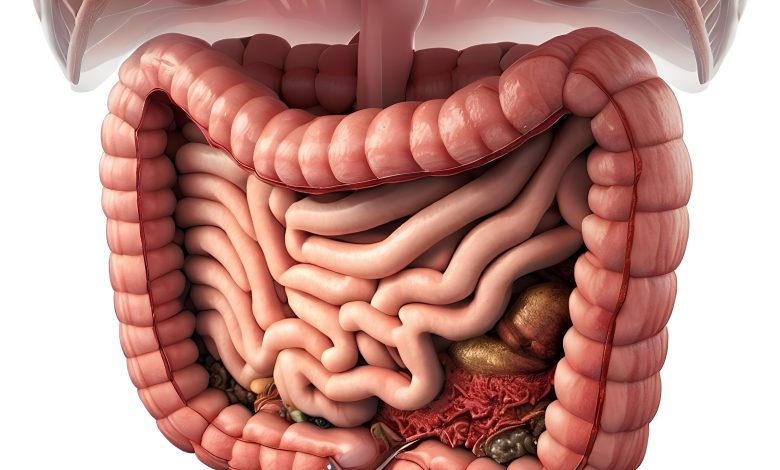 Découvrez les Symptômes, Traitements et Perspectives d'Avenir de la Maladie de Crohn