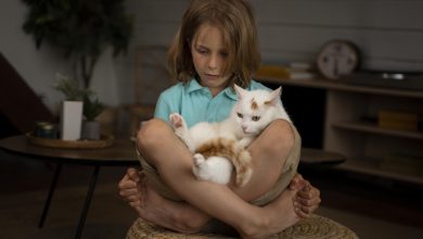 Tisser des liens d'amitié durables : Comment les animaux offrent un soutien essentiel aux enfants en deuil.