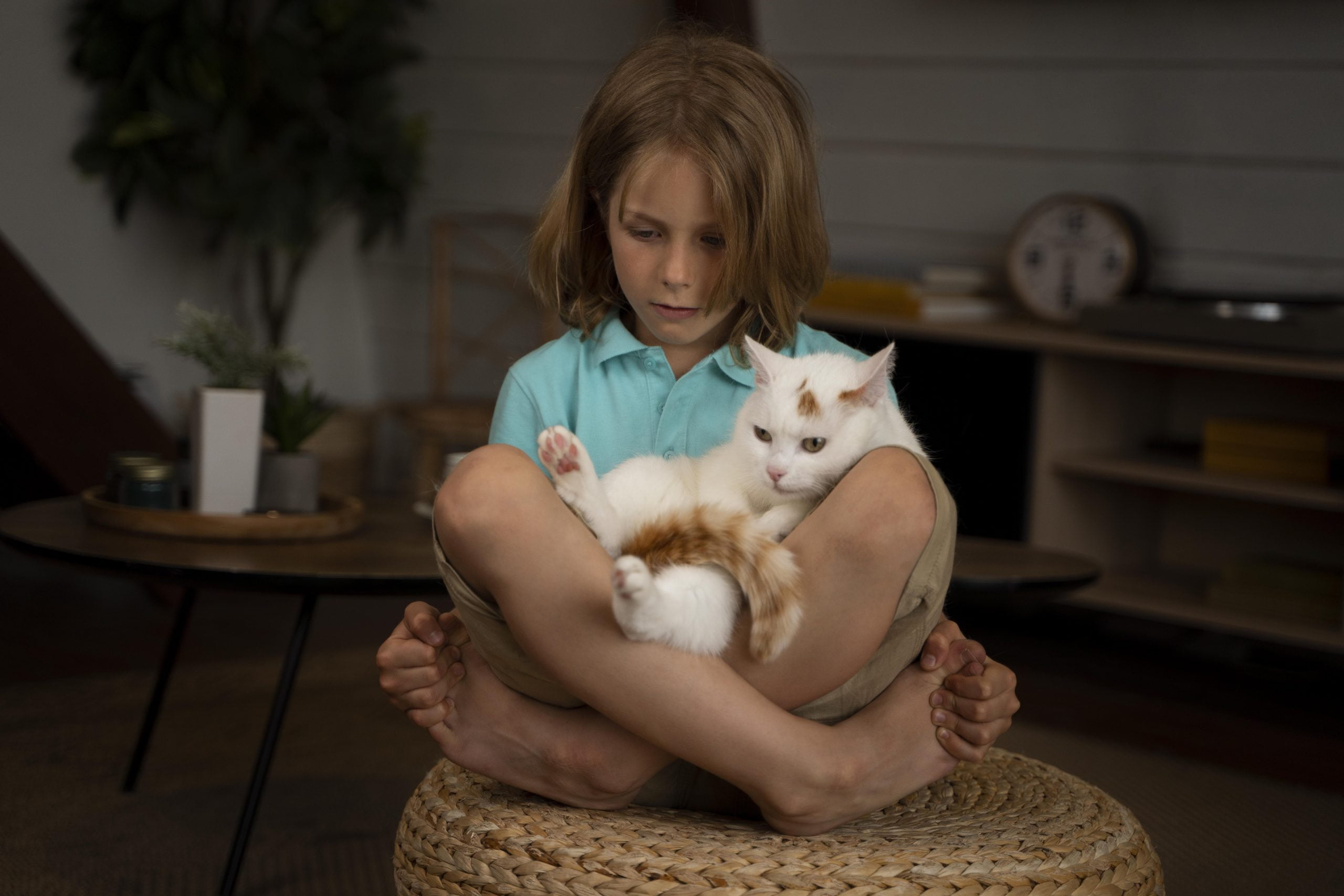 Tisser des liens d'amitié durables : Comment les animaux offrent un soutien essentiel aux enfants en deuil.