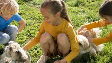 Comment les amis à quatre pattes offrent un coup de pouce précieux dans la rééducation des enfants