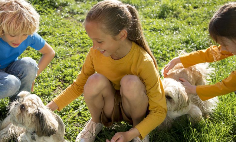 Comment les amis à quatre pattes offrent un coup de pouce précieux dans la rééducation des enfants