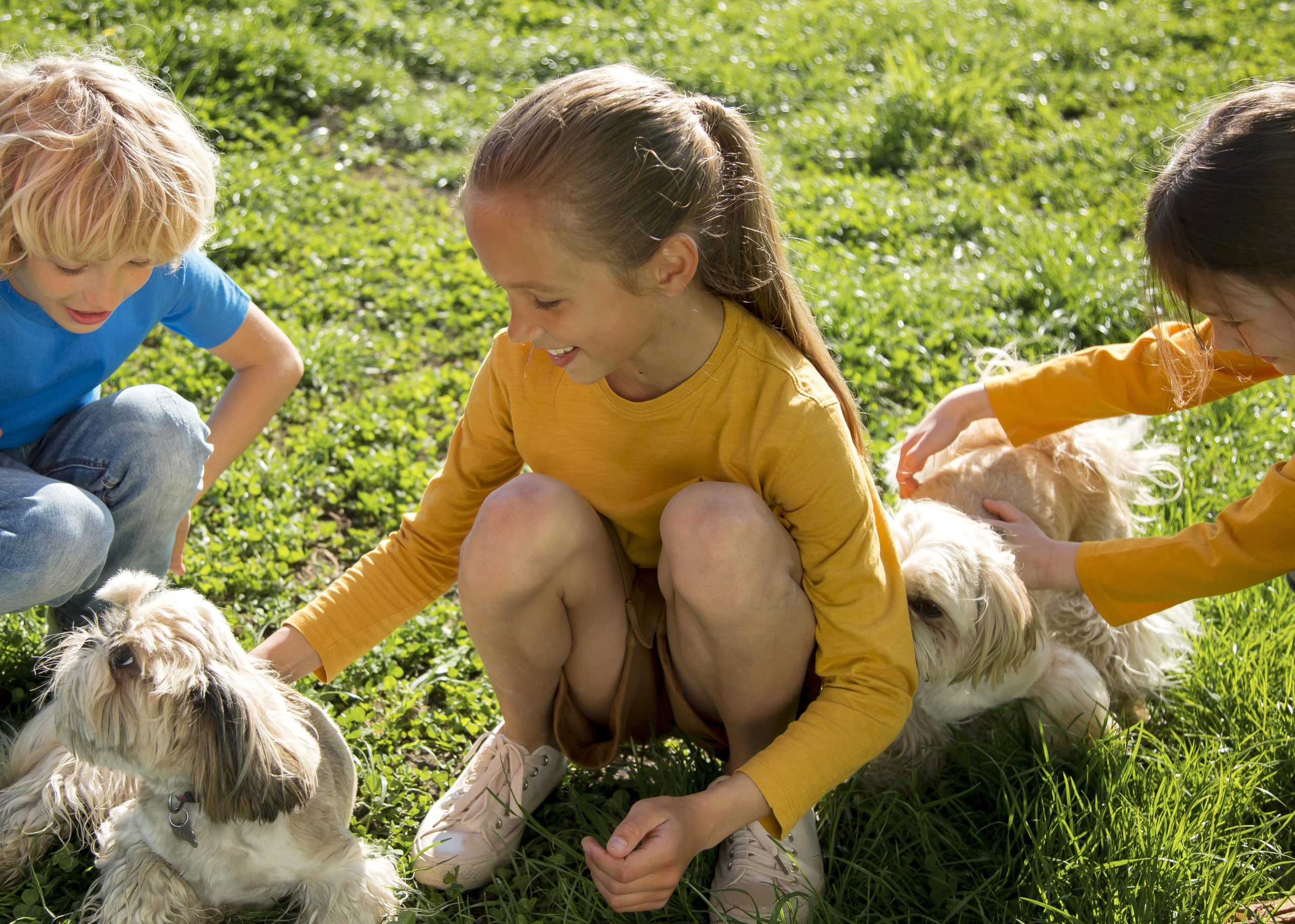 Comment les amis à quatre pattes offrent un coup de pouce précieux dans la rééducation des enfants