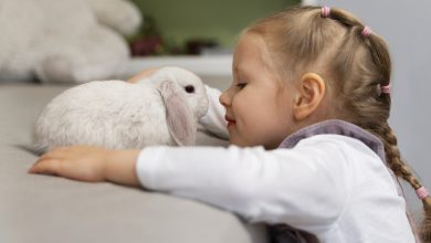 Des Liens Réconfortants : Comment les Animaux Deviennent des Compagnons Essentiels dans le Deuil.