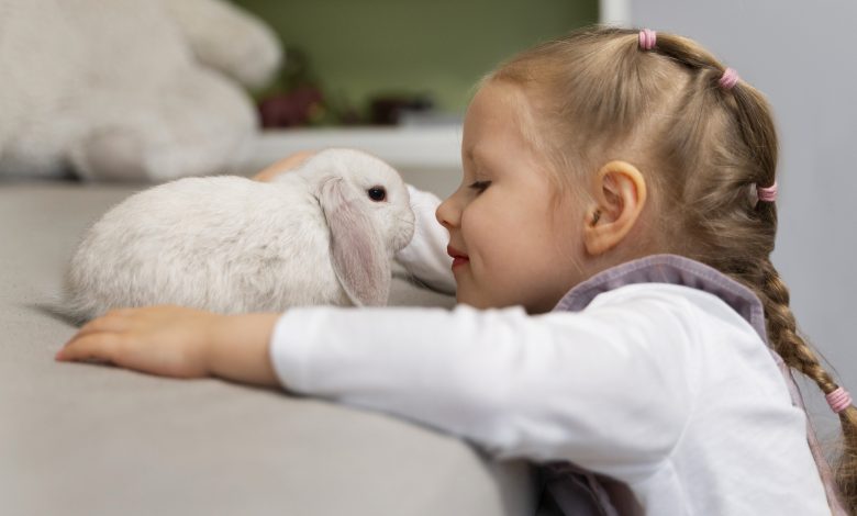 Des Liens Réconfortants : Comment les Animaux Deviennent des Compagnons Essentiels dans le Deuil.