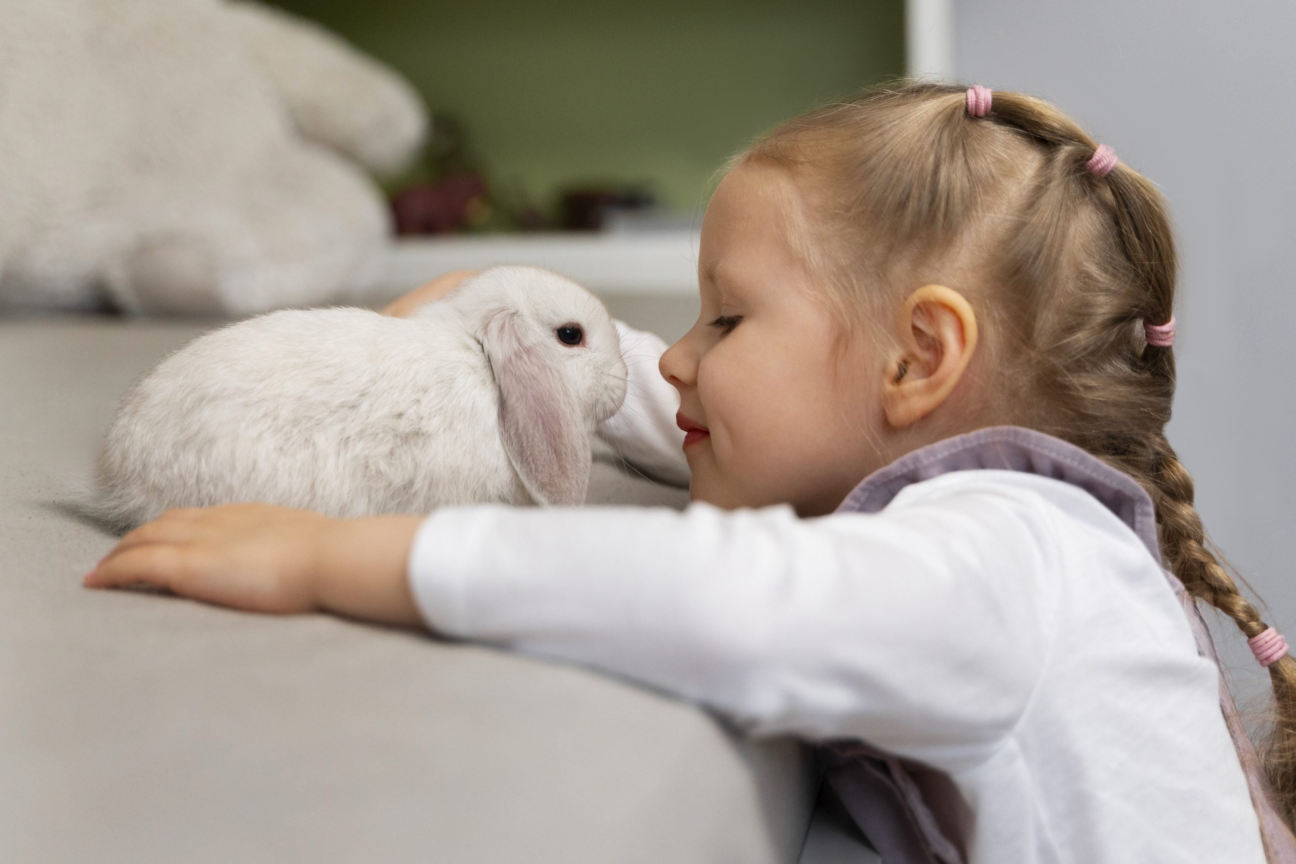 Des Liens Réconfortants : Comment les Animaux Deviennent des Compagnons Essentiels dans le Deuil.