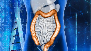 Découverte des Tumeurs du Petit Intestin : Symptômes, Diagnostic et Traitements Approfondis