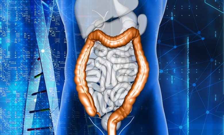 Découverte des Tumeurs du Petit Intestin : Symptômes, Diagnostic et Traitements Approfondis