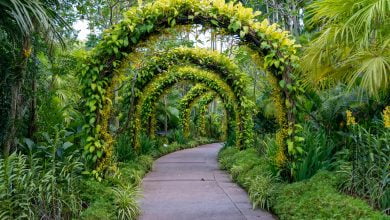 Un Jardin Paysager Enchanté : Des Idées et Conseils pour Créer Votre Coin de Paradis Vert !  