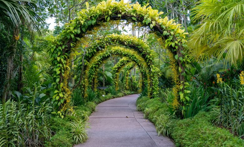 Un Jardin Paysager Enchanté : Des Idées et Conseils pour Créer Votre Coin de Paradis Vert !  