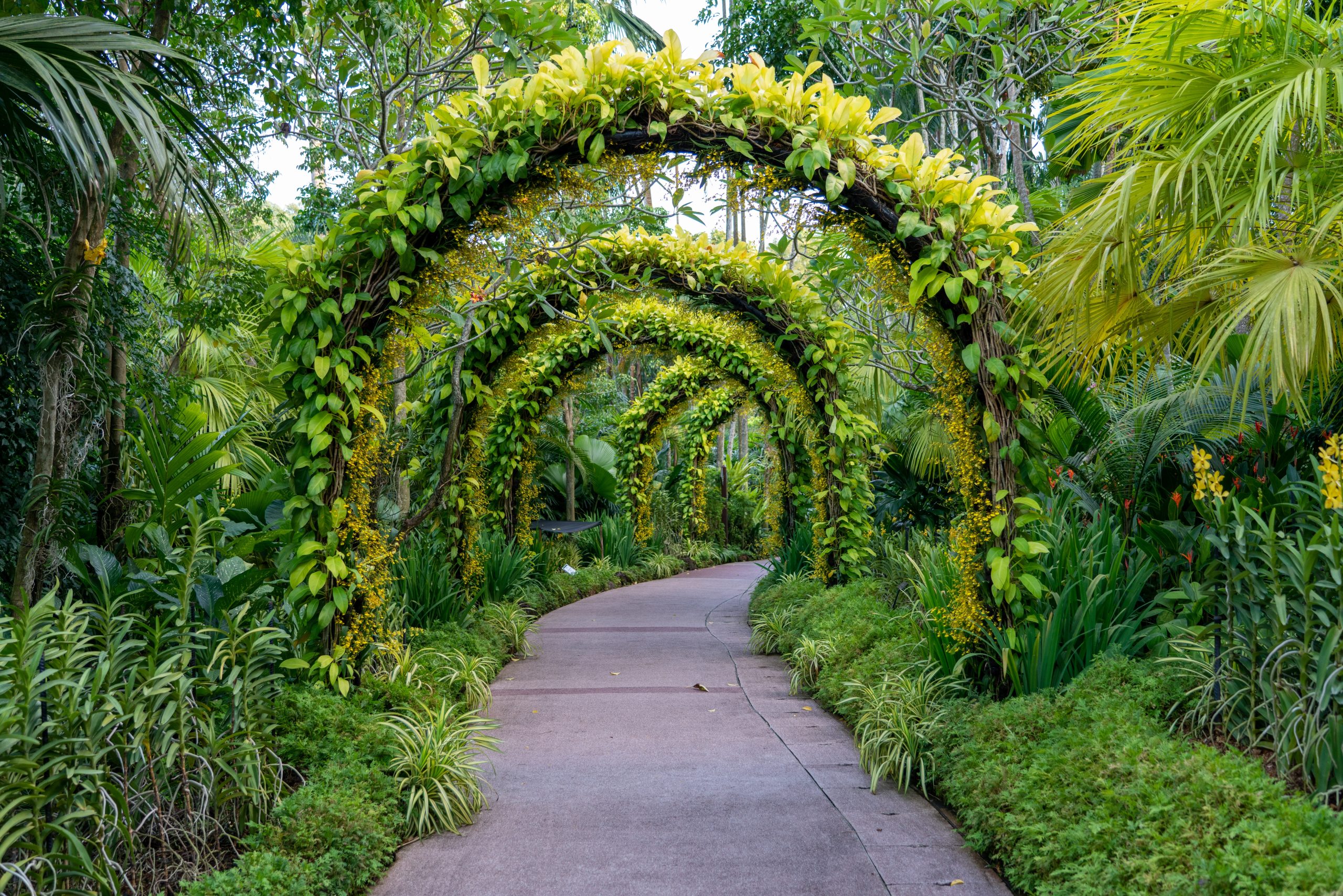 Un Jardin Paysager Enchanté : Des Idées et Conseils pour Créer Votre Coin de Paradis Vert !  