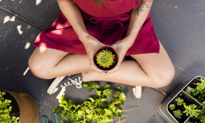 Plantes Magiques pour Vaincre les Addictions : Libère-toi et Retrouve ta Liberté !