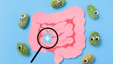 Découvrez les symptômes de l'escherichia coli et les moyens de prévention restez Informé et protégé !