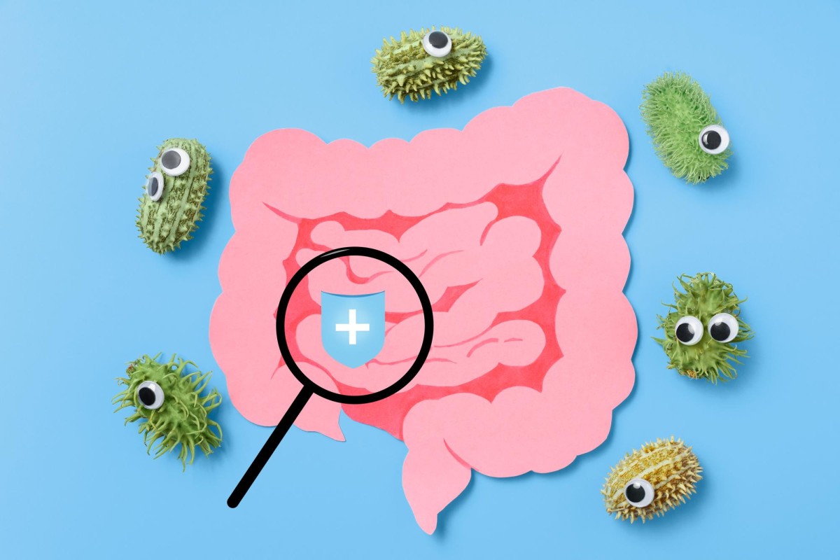 Découvrez les symptômes de l'escherichia coli et les moyens de prévention restez Informé et protégé !