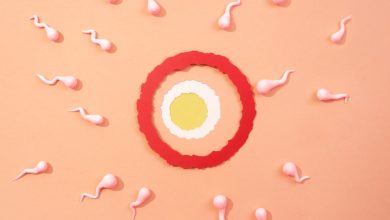 Découvrez les signes et tests pour savoir si l'ovule a été fécondé tout ce qu'il faut savoir !