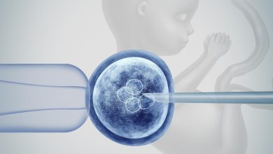 Création d'Embryons humains sans sperme ni ovule