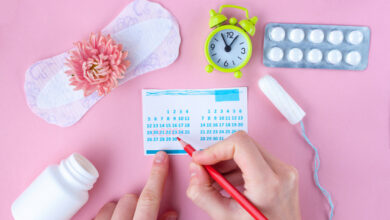 Influence des hormones féminines sur la mémoire le cycle menstruel expliqué