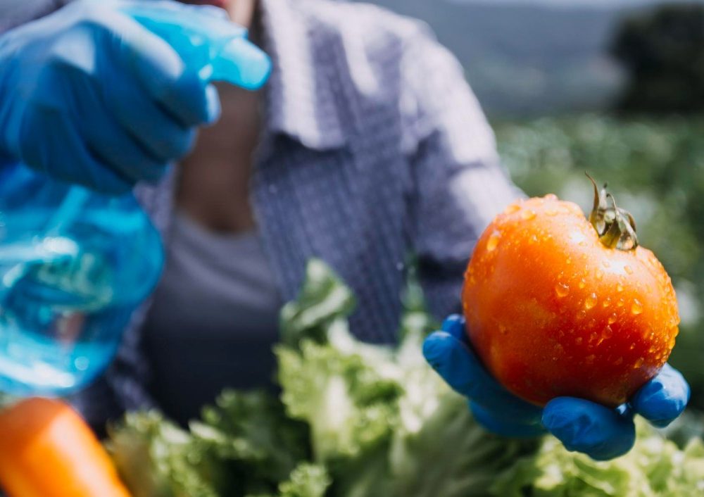 Solutions naturelles pour éliminer les pesticides de vos fruits et légumes