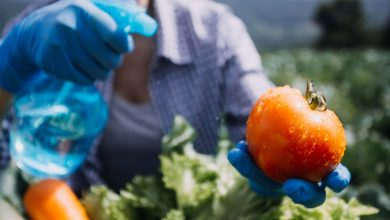 Solutions naturelles pour éliminer les pesticides de vos fruits et légumes