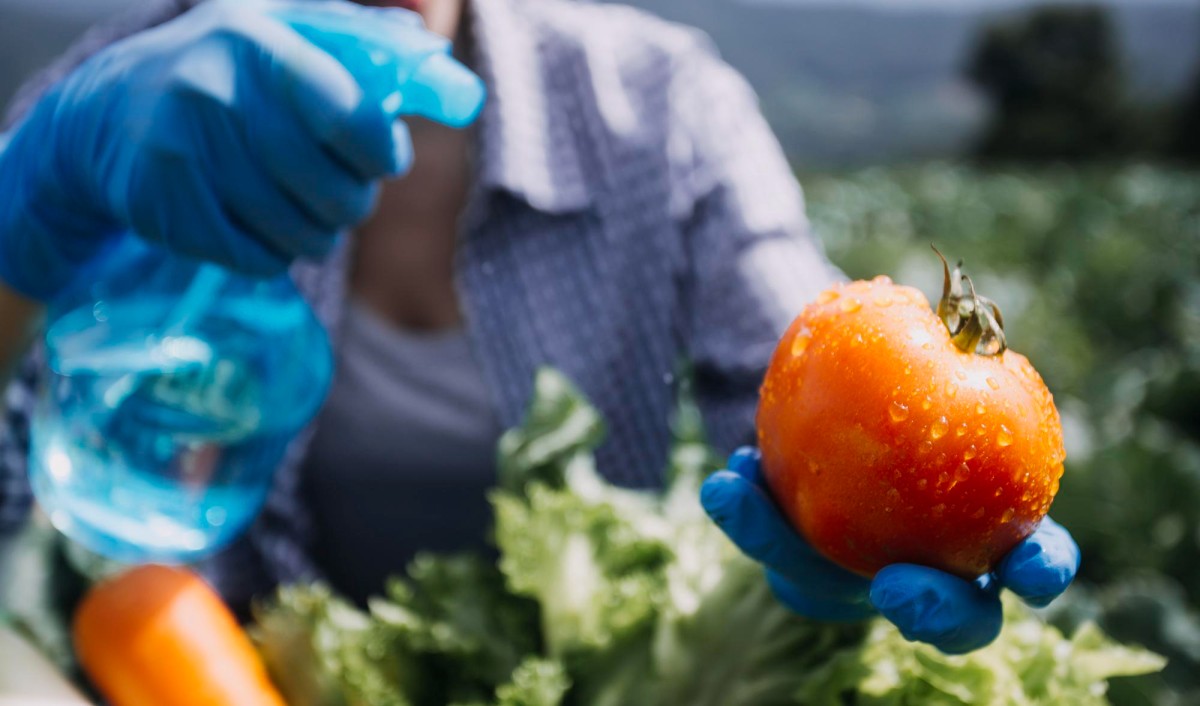 Solutions naturelles pour éliminer les pesticides de vos fruits et légumes