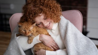 Santé et affection les précautions à prendre avant d'embrasser votre animal de compagnie