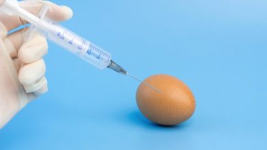 Les Œufs dans les vaccins Anti-Grippe un secret crucial de fabrication