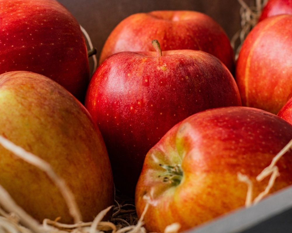 Découvrez les bienfaits et saveurs des pommes en automne un délice saisonier Incontournable