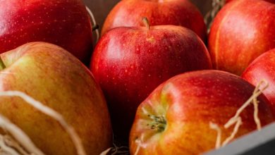 Découvrez les bienfaits et saveurs des pommes en automne un délice saisonier Incontournable