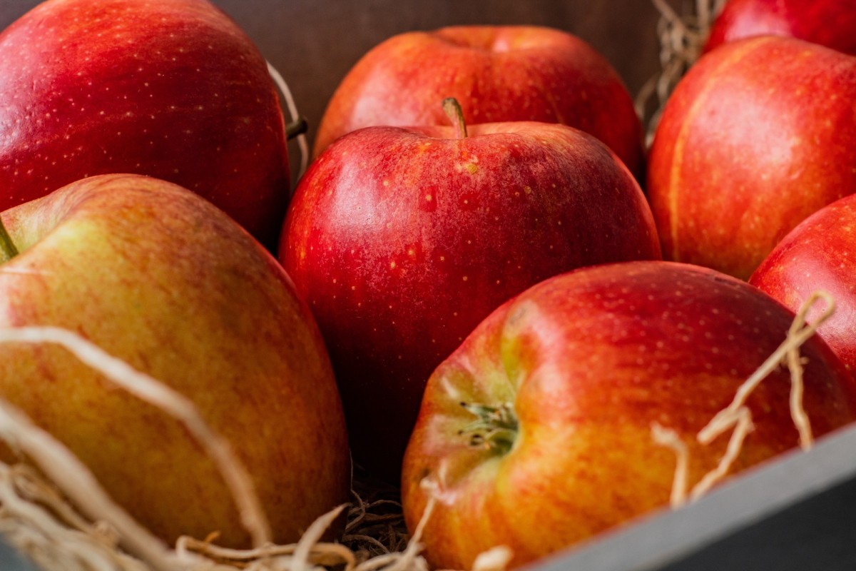 Découvrez les bienfaits et saveurs des pommes en automne un délice saisonier Incontournable