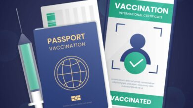 Passeport sanitaire mondial l'OMS prévoit une révolution numérique pour la gestion de la santé mondiale