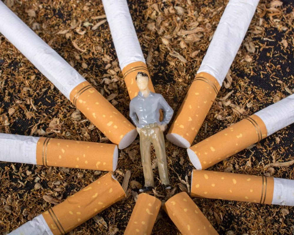 Le tabac OGM un allié Inattendu dans la lutte contre les maladies graves