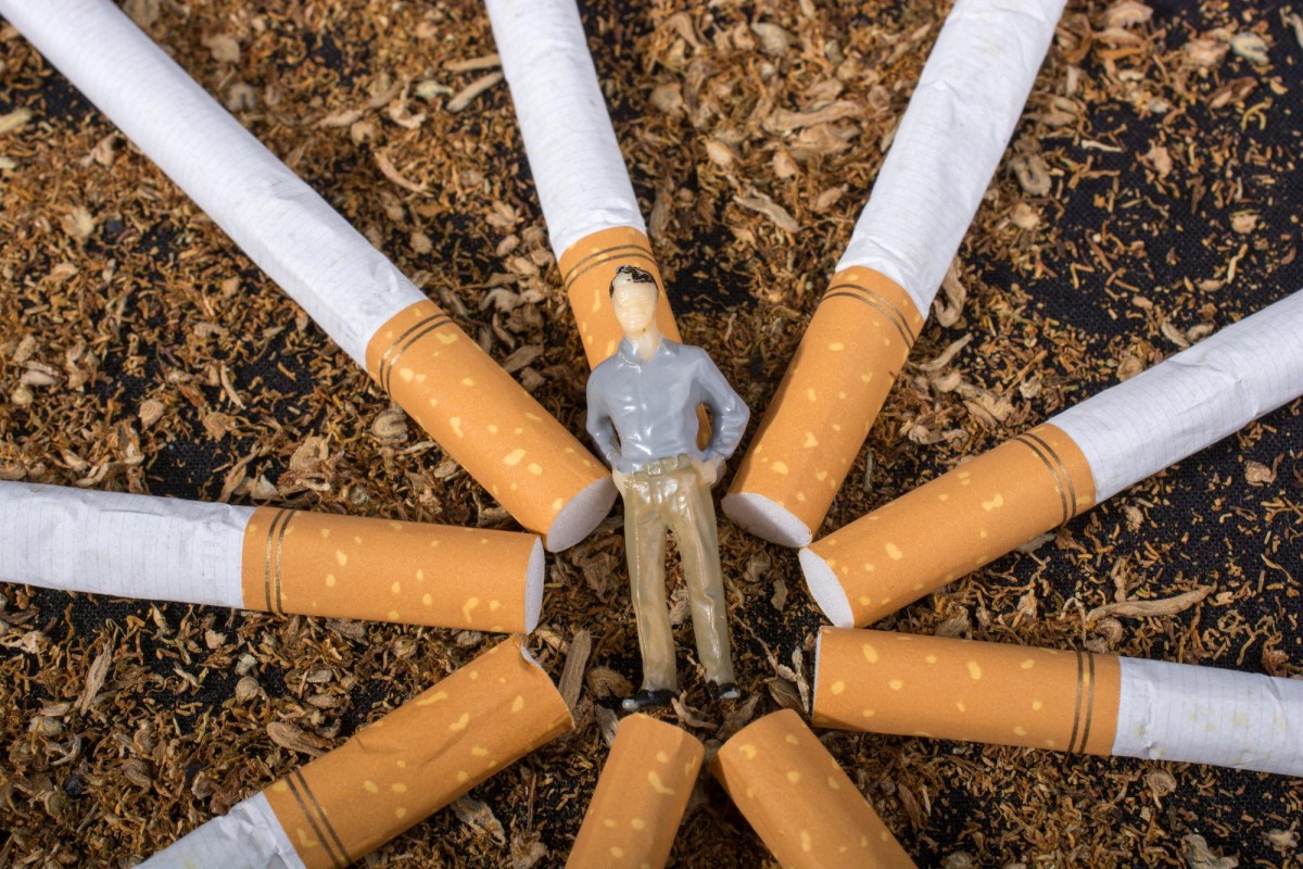 Le tabac OGM un allié Inattendu dans la lutte contre les maladies graves